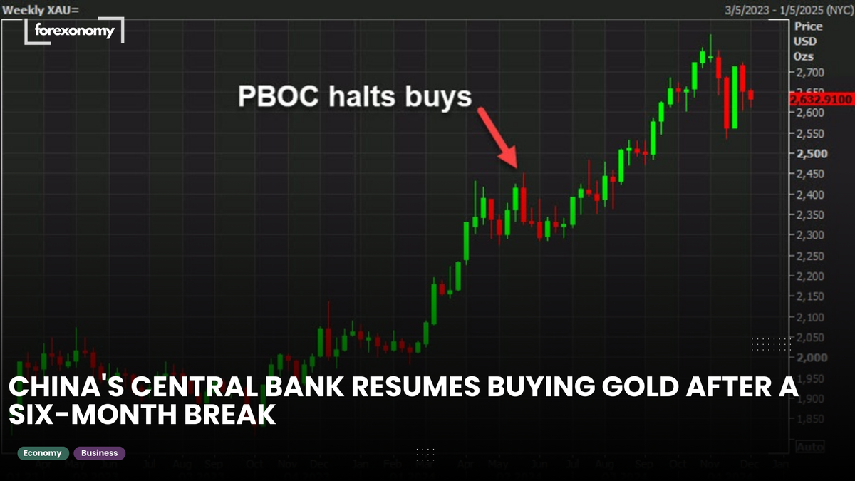 CHINA'S CENTRAL BANK RESUMES BUYING GOLD AFTER A SIX-MONTH BREAK