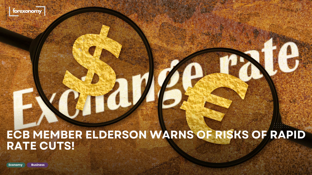 ECB MEMBER ELDERSON WARNS OF RISKS OF RAPID RATE CUTS!