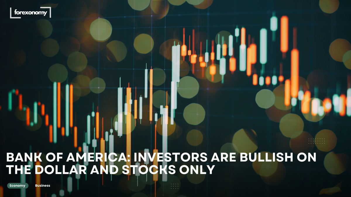 BANK OF AMERICA: INVESTORS ARE BULLISH ON THE DOLLAR AND STOCKS ONLY