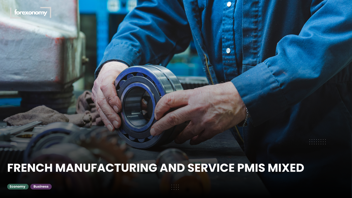 FRENCH MANUFACTURING AND SERVICE PMIS MIXED