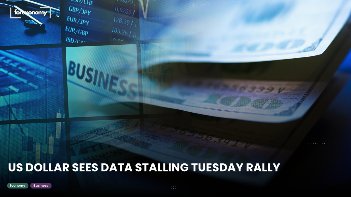 US DOLLAR SEES DATA STALLING TUESDAY RALLY
