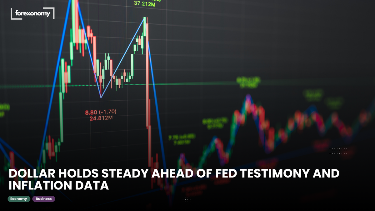 DOLLAR HOLDS STEADY AHEAD OF FED TESTIMONY AND INFLATION DATA