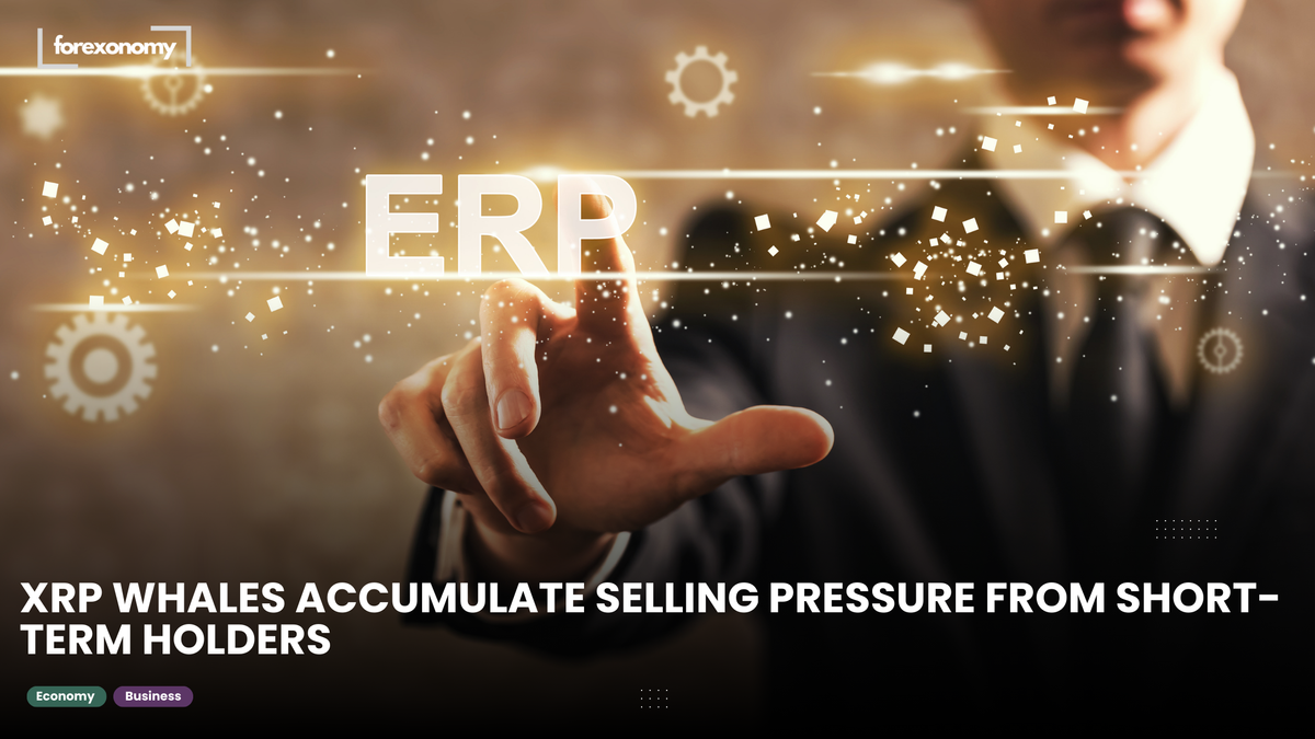 XRP WHALES ACCUMULATE SELLING PRESSURE FROM SHORT-TERM HOLDERS