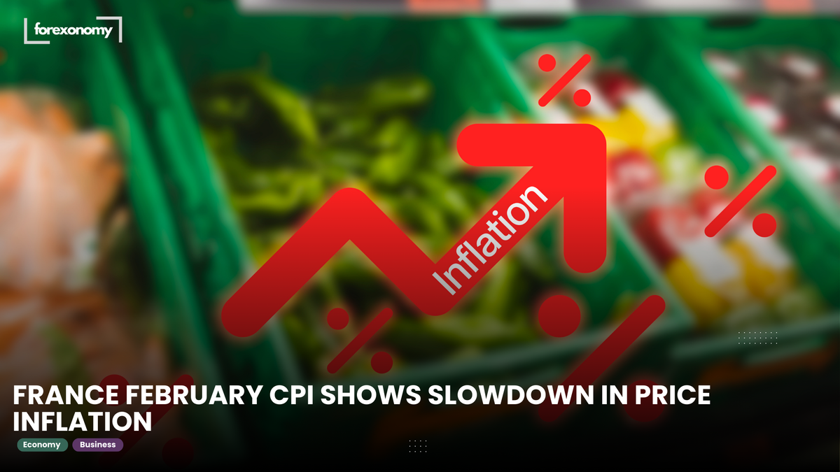 FRANCE FEBRUARY CPI SHOWS SLOWDOWN IN PRICE INFLATION