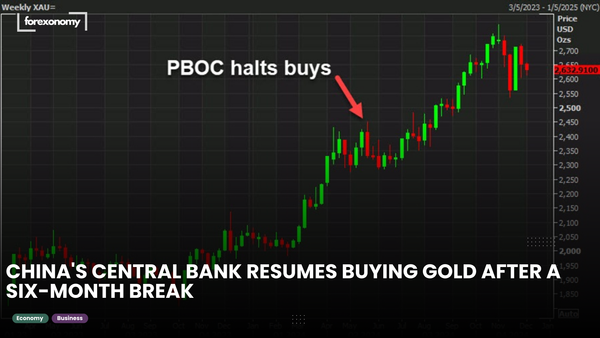 CHINA'S CENTRAL BANK RESUMES BUYING GOLD AFTER A SIX-MONTH BREAK
