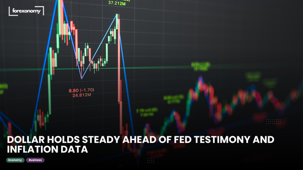DOLLAR HOLDS STEADY AHEAD OF FED TESTIMONY AND INFLATION DATA