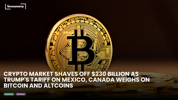 CRYPTO MARKET SHAVES OFF $230 BILLION AS TRUMP'S TARIFF ON MEXICO, CANADA WEIGHS ON BITCOIN AND ALTCOINS
