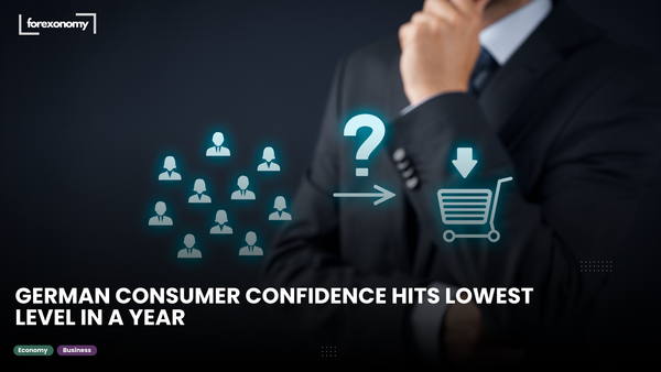 GERMAN CONSUMER CONFIDENCE HITS LOWEST LEVEL IN A YEAR