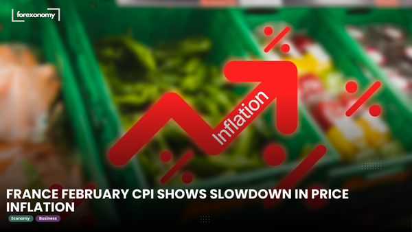 FRANCE FEBRUARY CPI SHOWS SLOWDOWN IN PRICE INFLATION