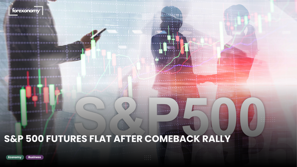 S&P 500 FUTURES FLAT AFTER COMEBACK RALLY