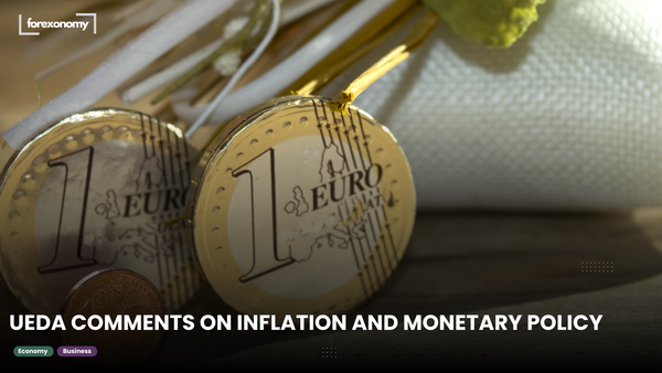 UEDA COMMENTS ON INFLATION AND MONETARY POLICY
